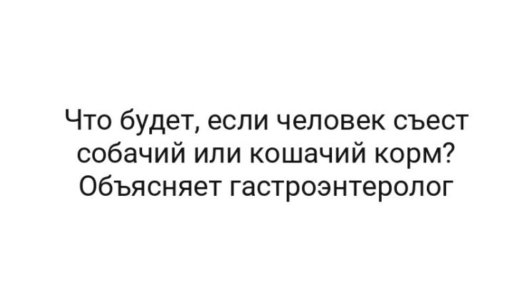 Что будет, если человек съест собачий или кошачий корм? Объясняет гастроэнтеролог