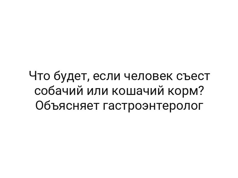 Что будет, если человек съест собачий или кошачий корм? Объясняет гастроэнтеролог