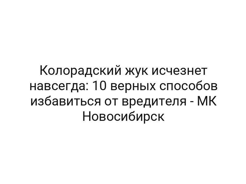 Колорадский жук исчезнет навсегда: 10 верных способов избавиться от вредителя — МК Новосибирск